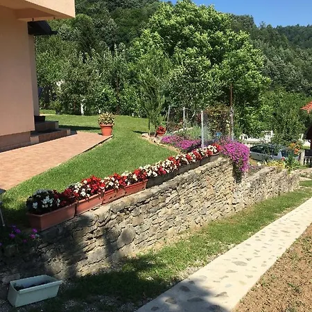 Dom wakacyjny Ajaz *